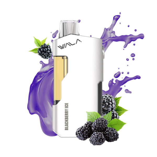 12-1.jpg WALA YO – Blackberry Ice