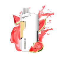 WALA YO – Watermelon Ice