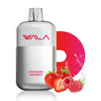 strawberry-raspberry.jpg WALA POP – Strawberry Raspberry