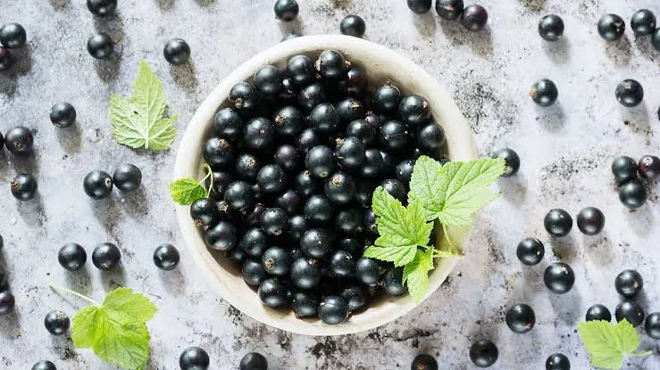 Blackberry Flavour Compound Analysis IGET Bar Pro Blackberry Ice wild blackberry flavour compound analysis chart with authentic Rubus fruticosus profile versus artificial mixed berry alternatives