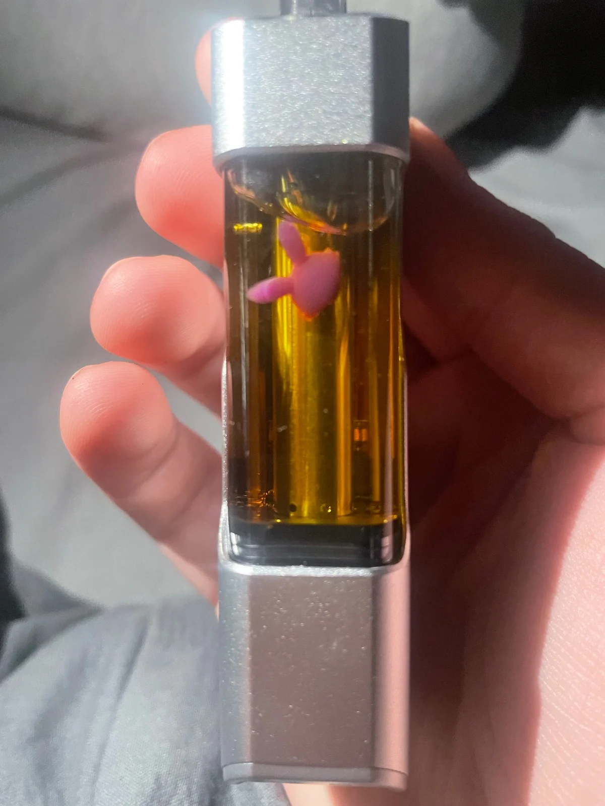wala-yo-parafield-gardens-review-7f61c