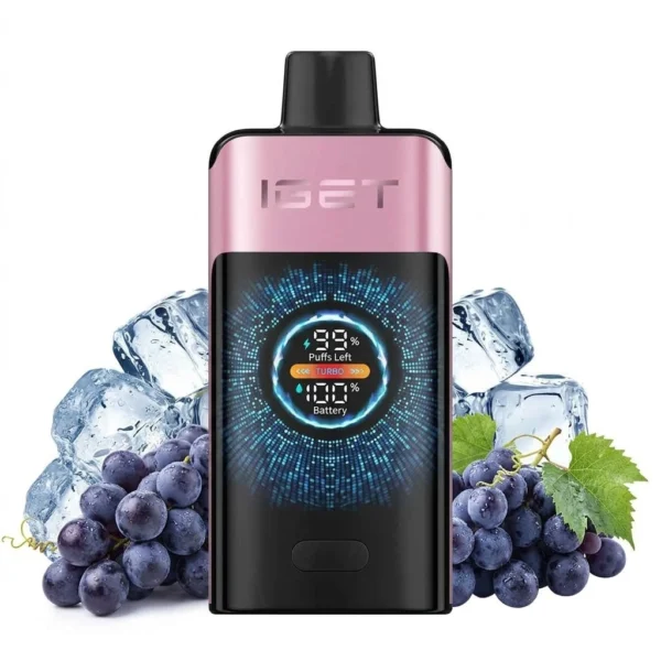 9214deba-ea38-407c-a6e4-2b45b96c51a1 IGET ONE – Grape Ice